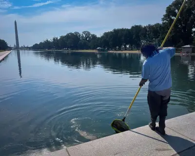 Trump Drains White House Reflecting Pool, Sparking Controversy