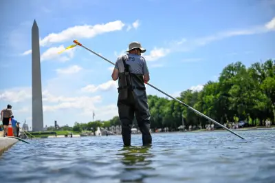 Trump's $14m Reflecting Pool Renovation Hit by Algae, Peeling Paint, and Vandalism Claims