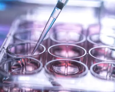 UK Stem Cell System 'Not Fit for Purpose,' MPs Warn, Risking Lives