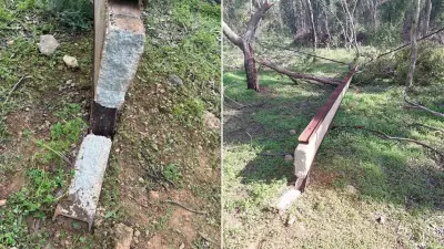 Vandals Cutting Stobie Poles in Adelaide's North Endanger Lives