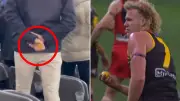 AFL Fan Banned Five Years for Throwing Lemon at Player