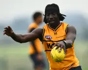 AFL Investigating ‘Vile and Racist’ Abuse Sent to Hawthorn’s Mabior Chol