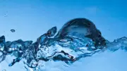 AI Data Centres in Australia: Water and Energy Impact Unknown