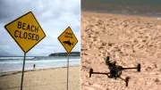 AI Drones Could Patrol Sydney Beaches for Sharks This Summer