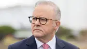 Albanese Faces Growing Pressure as One Nation Support Surges