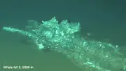 Ancient Whale Graveyard Discovered in Indian Ocean Deep