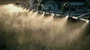 Australia Approves Paraquat Despite Global Bans: The Toxic Weedkiller Debate