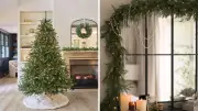 Balsam Hill's Christmas in July Sale Offers Up to 50% Off Trees and Décor