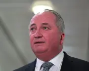 Barnaby Joyce backflips on One Nation foreign home ownership policy