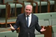 Barnaby Joyce Claims Foreign Buyers Outbid Australians at Auctions