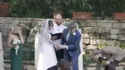 Best Man Faints at Wedding, Officiant Keeps Going: Viral Clip
