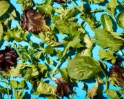Best Supermarket Salad Bags Tasted and Rated: Our Top Picks