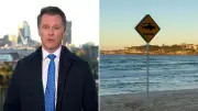 Bondi Beach Closed After Great White Shark Sighting