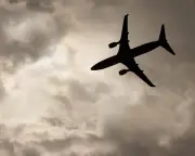 Botched Deportation: Seven Flights, Swallowed Batteries, Huge UK Taxpayer Cost