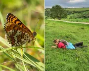Butterfly Passion Turned Against Woman in Abusive Relationship Play
