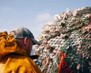 Bycatch kills thousands of UK marine animals annually, first analysis shows