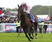 Christmas Day Derby Win Sparks Debate Over Non-Runner Rule