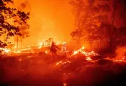 Companies Settle $4M for Gender-Reveal Fireworks That Sparked Deadly California Wildfire
