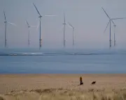 Crown Estate posts £1bn profit for third straight year on windfarm boom