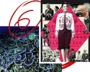 Deep Sea Secrets: Dementia Fighters, Women's Struggles in China