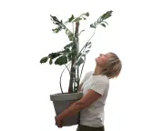 Does Talking to Plants Really Help Them Grow? We Test It