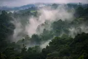 El Nino Drives Severe Food Shortages in Papua New Guinea