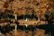 Epic Public Proposal and Picture-Perfect Autumn Wedding for Perth Couple