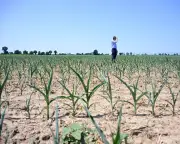 EU Green Chief: Heatwave Shows Need to Reject Climate Denial Lies