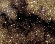 Euclid Telescope Reveals Hidden Stars in Milky Way's Galactic Bulge