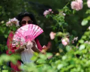 Extreme Heat Risks Escalate as Adaptation Plans Dangerously Lag