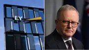EY Employees Charged Over Hacking PM Albanese's Bank Account
