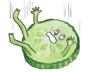 Five-Second Rule: Fact or Fiction in Food Safety