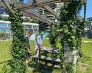 From Mobile Jungles to Shadow Art: Dutch Beat the Heat