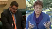 Hanson backs MP who cried 'I love migrants' in maiden speech