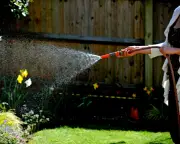Hosepipe Ban Imposed in South East Amid Heatwave Surge