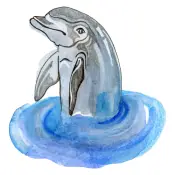 How Dolphins Breathe and Clouds Move: Kids Quiz Answers