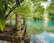 Jamaica's Beach Access Crisis: Activists Fight 'Plantation Tourism'
