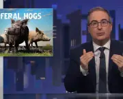 John Oliver's Feral Hogs Episode Sparks Debate on Invasive Species