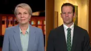 Labor Surges Ahead in Newspoll, Plibersek Slams Opposition