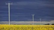 Life at the Edge of Australia's Power Grid: Batteries and Microgrids Offer Hope