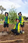 Little Hands Help Grow Greener Future on World Environment Day