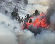Major Wildfire Burns Moorland Near Greater Manchester