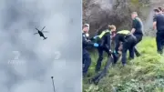 Man Jumps From Childcare Roof, Carjacks Cars, Dives Into Yarra River