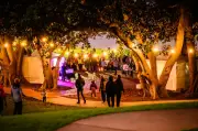 Melville Midwinter Festival Returns to Point Walter for Winter Solstice
