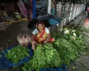 Monsoon Season Arrives in Asia, Bringing Vital Rainfall and Flood Risks