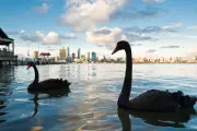 Morning Mail: Wednesday's Top Australian News Stories