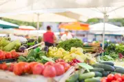 New fortnightly farmers market launching in Manjimup this September