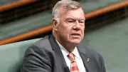 One Nation MP David Farley makes 'rookie error' missing votes in first week