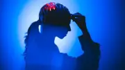 Ozempic Could Treat Addiction by Targeting Brain's Lateral Septum