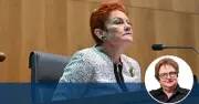Pauline Hanson One Nation: Choices and Strategy Analysis
